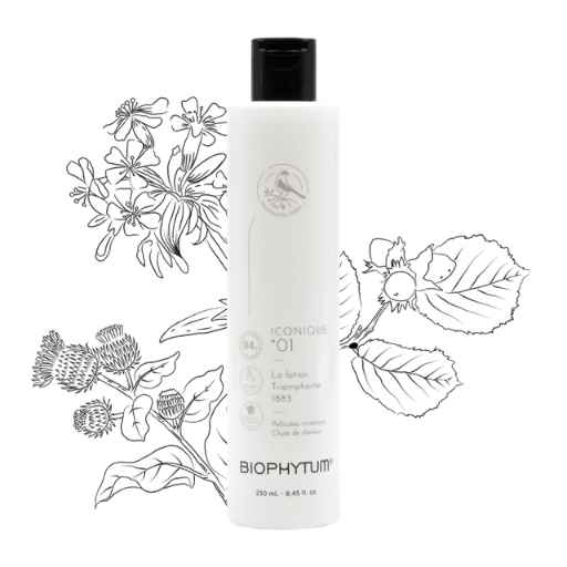ICONIC 01 — The Triumphant Lotion 1883