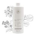La Lotion Triomphante 1883