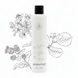 La Lotion Triomphante 1883